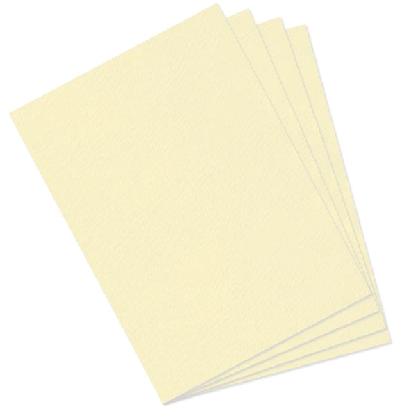 Canson Dokulu Fon Karton Mi-Teintes Sh Canmt 50X65Cm 160 Gram Yellow 101 31032S087 (10 Lu Paket) ürün görseli 1