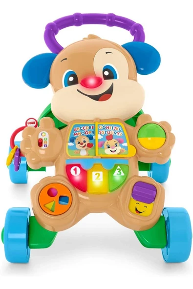 Fisher Price Oyuncak Lnl Yaşa Göre Gelişim Mtl-ftg10 ürün görseli 1
