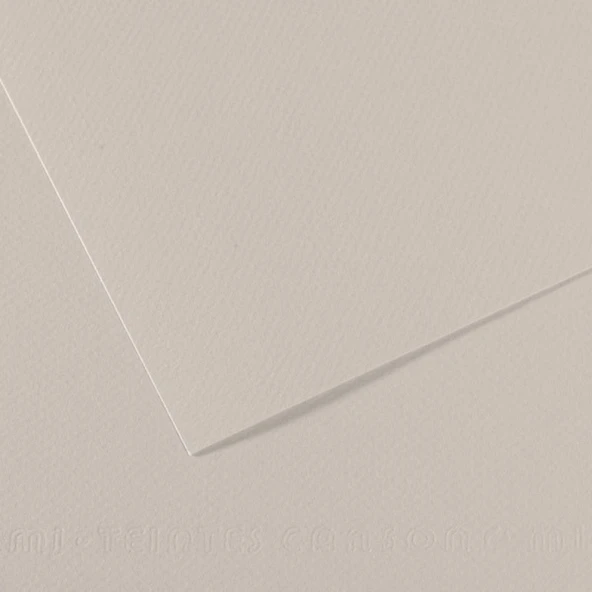 Canson Sh Canmt 50x65Cm 160 Gram Pastel Dokulu Fon Kartonu Grey 120 31032S094 (10 Lu Paket) ürün görseli 1