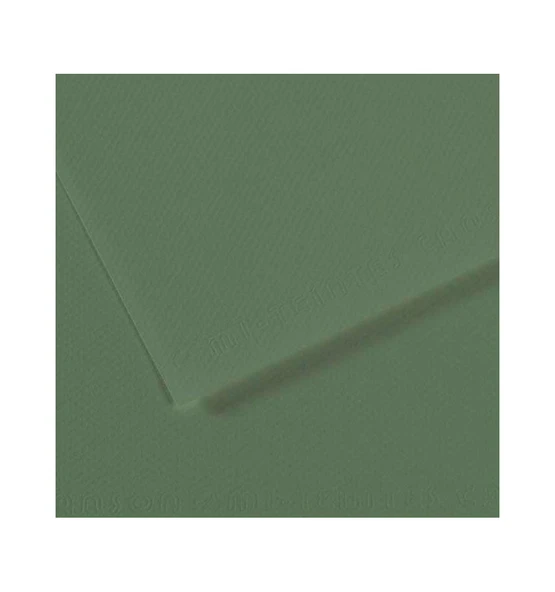 Canson Dokulu Fon Kartonu Mi-Teintes Sh Canmt 50X65Cm 160 Gram Grn Sage Yeşil 190 31032S128 (10 Lu Paket) ürün görseli 1
