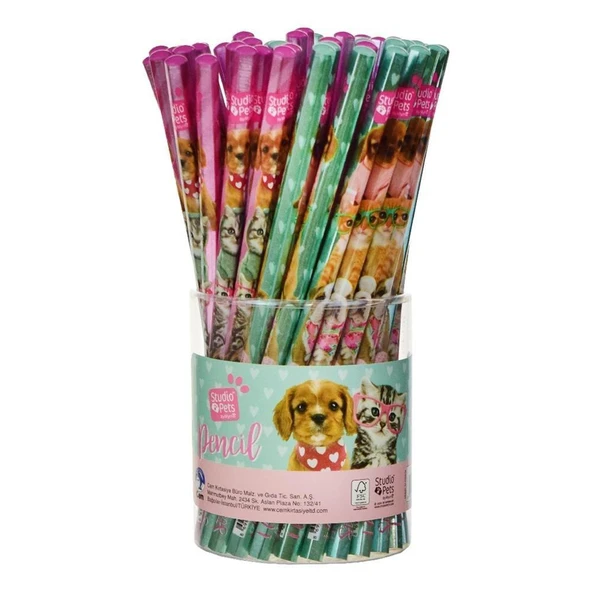 Dolphin Kurşun Kalem Studio Pets Pt-6372 (60 Lı Paket) ürün görseli 1