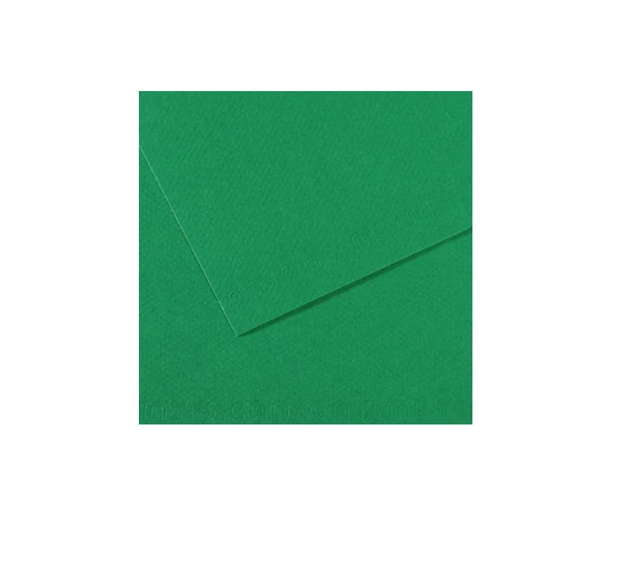 Canson Mi-Teıntes Dokulu Fon Kartonu Sh Canmt 50X65 160 Gram Green 575 31032S114 (10 Lu Paket) ürün görseli 1