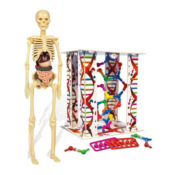 Clementoni Oyuncak İlk Keşiflerim (İnsan Anatomisi) 64297 ürün görseli 1