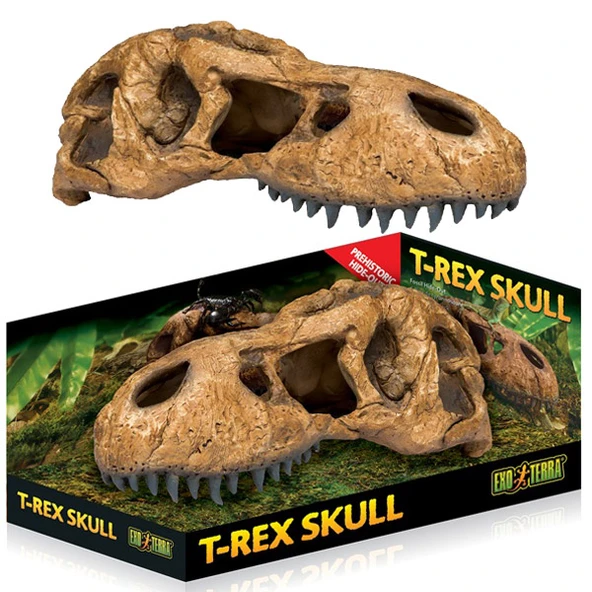 Exo Terra Trex Kafatası Şekilli Sürüngen Yuvası ürün görseli 1