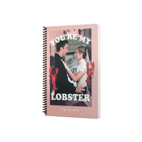 Mabbels Friends Youre My Lobster Spiralli Not Defteri Pembe 80 Yaprak Kareli 17X24Cm Dft-388463 ürün görseli 1