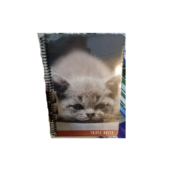 Gıpta Triple Notes Spiralli Sert Kapak Not Defteri 17X24Cm 80 Yaprak Çizgili 6579 (Karışık Renk 1 Adet) ürün görseli 1