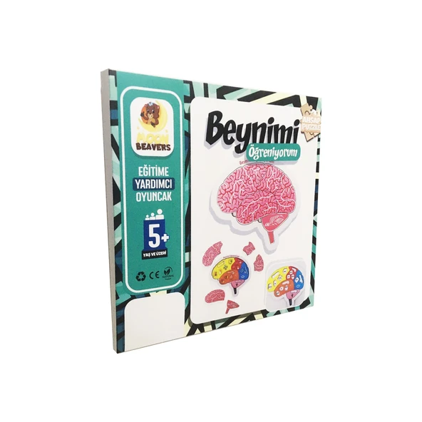 Moon Beavers Beynimi Öğreniyorum Eğitici Ahşap Oyuncak ürün görseli 1