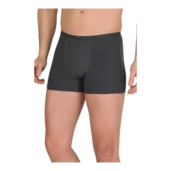 Berrak 4488 Erkek Modal İnce Kemer Boxer 3'Lü   L Füme ürün görseli 1
