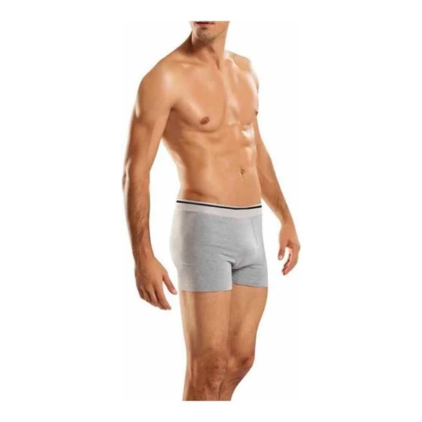 Berrak 1097 Erkek Likralı Esnek Boxer 2 Adet 1415  L Gri ürün görseli 1