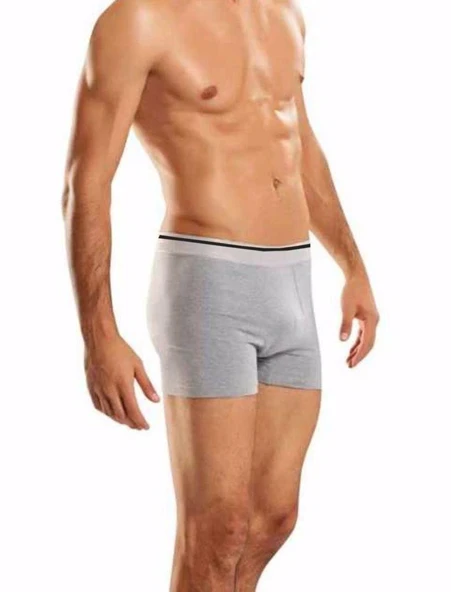 Berrak 1097 Erkek Likralı Esnek Boxer 6'Lı   L Gri ürün görseli 1