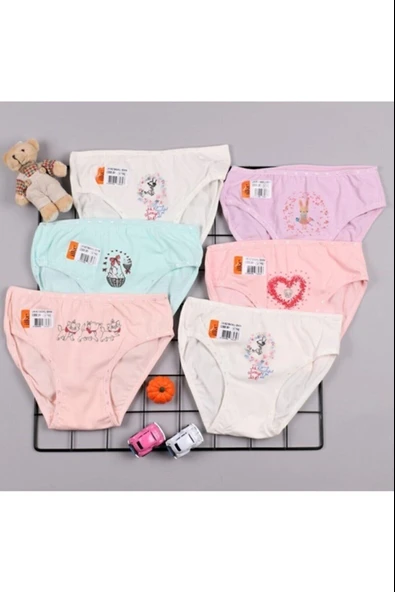 İlke Kız Çocuk Likralı Baskılı Bikini Külot 351 - 6 Adet  Karışık Renk 2 No:2-3 Yaş ürün görseli 1