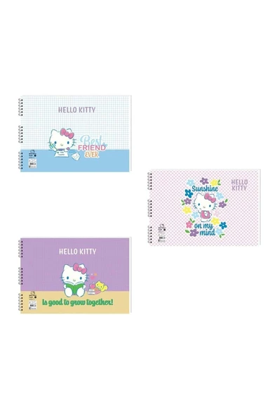 Keskin Color Hello Kitty And Friends Spiralli Resim Defteri 17X25 15 Yaprak 300115-13 (Karışık Renk 1 Adet) ürün görseli 1