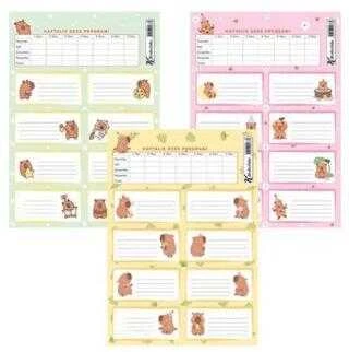 Keskin Color Capy Ders Programlı 3 Lü Okul Etiketi 220130-98 ürün görseli 1