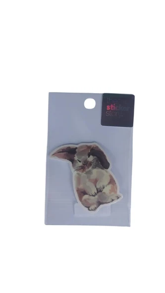 Ekstrafix Yapışkanlı Sudan Etkilenmeyen Sticker The Sticker Story Tavşan Tss0019 (1 Adet) ürün görseli 1