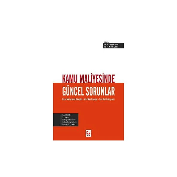 Kamu Maliyesinde Güncel Sorunlar Turgay Berksoy 2014/10 ürün görseli 1
