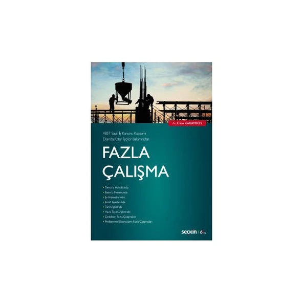 Fazla Çalışma (E.Karatekin) Ersan Karatekin 2020/01 ürün görseli 1