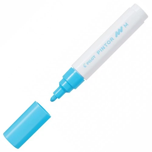 Pilot Pintor Keçeli Markör Dekor Boya Kalemi (M) Pastel Mavi Sw-Pt-M-Pl (6 Lı Paket) ürün görseli 1