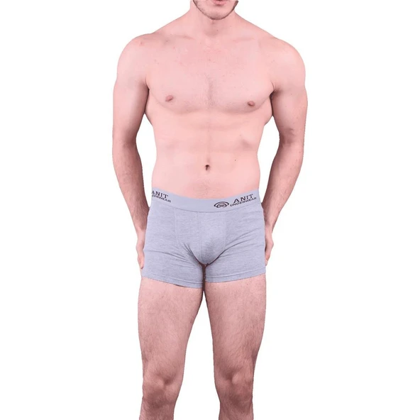 Anıt 1115 Erkek Likralı Boxer Esnek Boxer 6'Lı   Gri S ürün görseli 1