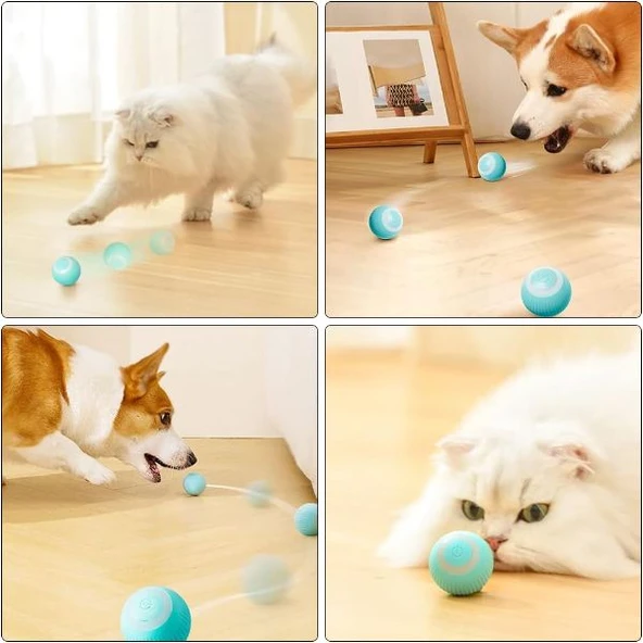 İnteraktif Kedi Köpek Şarjlı Oyun Topu ürün görseli 1