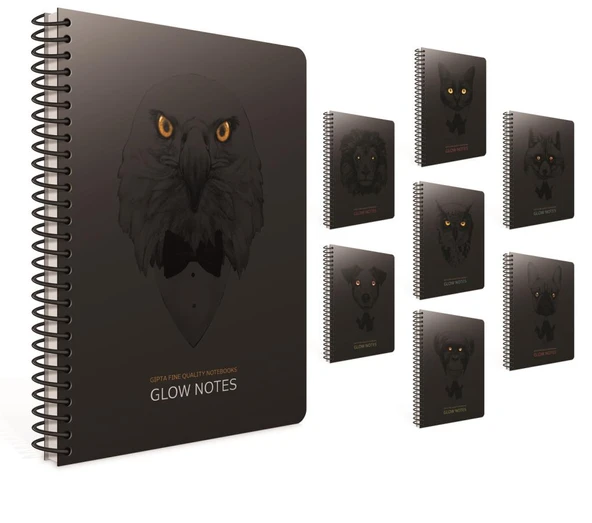 Gıpta Glow Notes Spiralli Karton Kapak Defter 17X24Cm 80 Yaprak Kareli (4 Lü Paket) 4209 ürün görseli 1