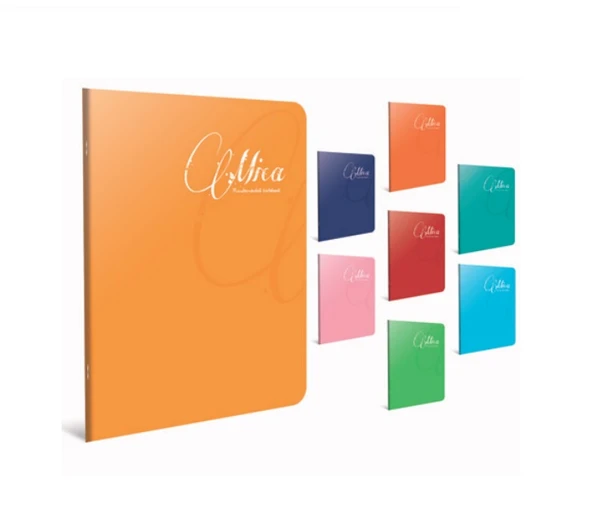Gıpta Mica A4 Tel Dikişli Pp Kapak Defter 100 Yaprak Kareli (4 Lü Paket) 2489 ürün görseli 1