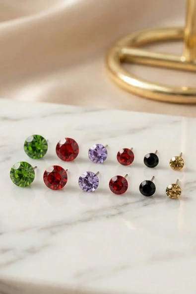6 Çift Renkli Zirkon Taşlı Küpe ürün görseli 1