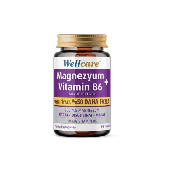 Wellcare Magnezyum Vitamin B6 200/10MG 90 Tablet ürün görseli 1