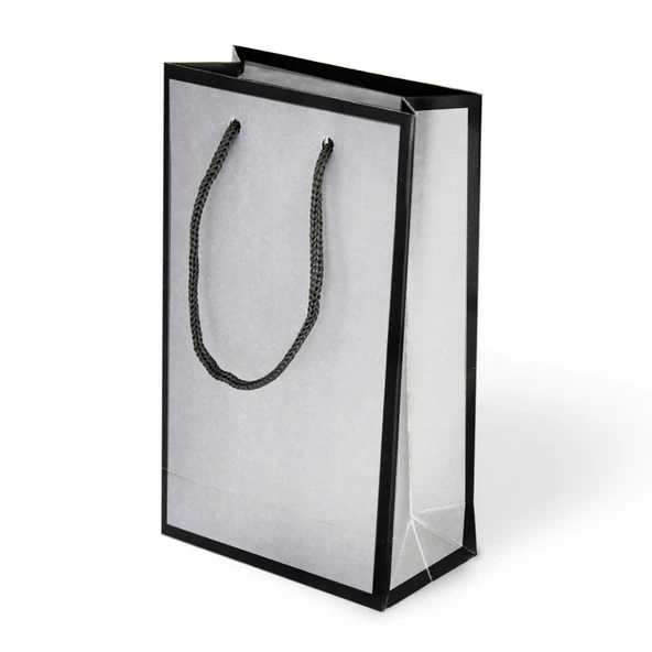 İp Saplı Karton Çanta 26x40x8cm 10 Adet ürün görseli 1