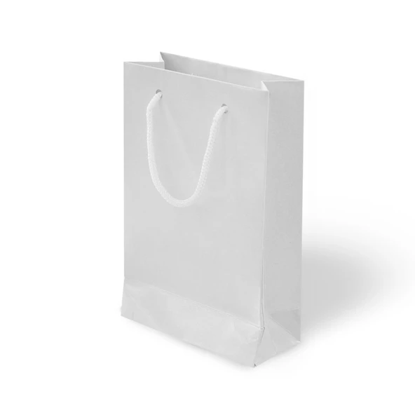 İp Saplı Karton Çanta 26x40x8cm 10 Adet ürün görseli 1