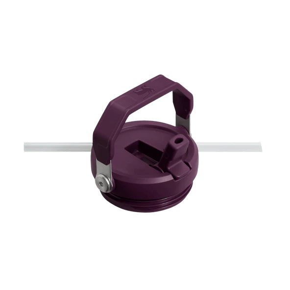 STANLEY 30OZ CLASSIC FLIP STRAW TUMB PLUM EU - Resim 3