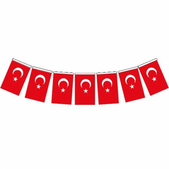 Vatan Mini Boy İpli Kağıt Türk Bayrağı 10x6Cm 50 Li Vt805 ürün görseli 1