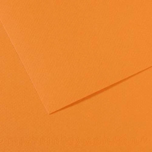 Canson Dokulu Fon Kartonu 50X65 Cm 160 Gr 384 Saumon 25 Li (1 Paket 25 Adet) ürün görseli 1
