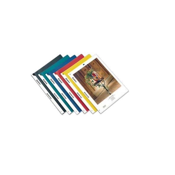Comix Sıkıştırmalı Dosya Şeffaf Kapak Qw324A ürün görseli 1