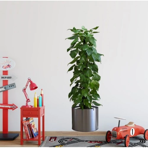 Pratik Saksılı Bitki Tasarımlı Yapışkanlı Sticker Resim 90*30 Cm Mc-665 ürün görseli 1