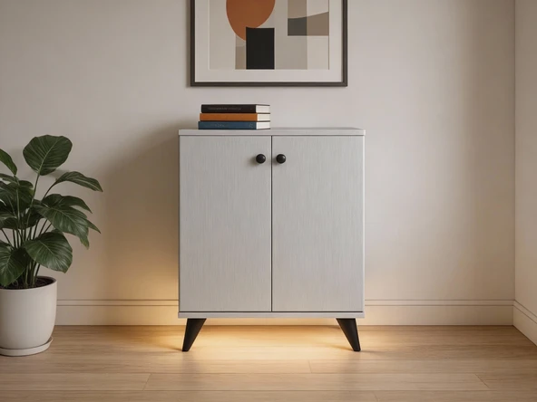 Dienni Simple Çok Amaçlı Dolap 2 Raflı 2 Kapaklı 60x44x80 BEYAZ ürün görseli 1