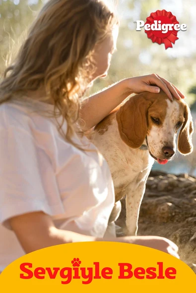Biscrok Köpek Ödül Bisküvisi 500 G 2x - Resim 4
