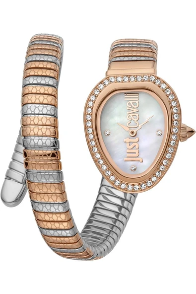 JUST CAVALLI JC1L167M0065 Kadın Kol Saati ürün görseli 1