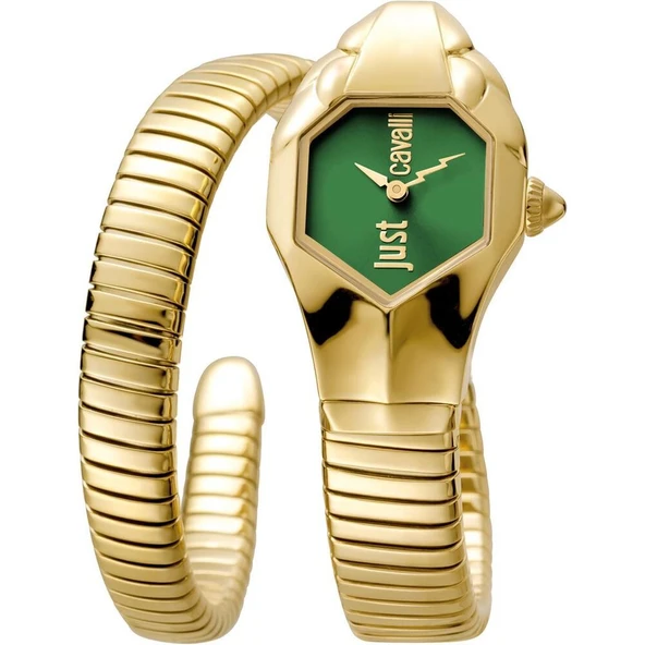 JUST CAVALLI JC1L001M0055 Kadın Kol Saati ürün görseli 1