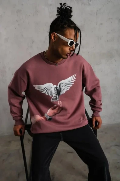 Erkek Güvercin Baskılı Sweatshirt - Gül Kurusu - Resim 2