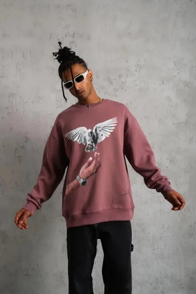Erkek Güvercin Baskılı Sweatshirt - Gül Kurusu - Resim 4
