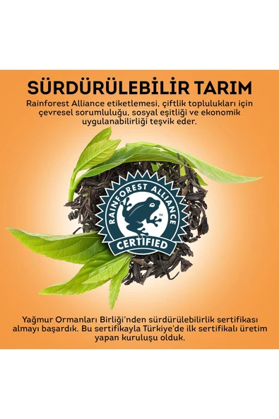 Lipton Slim Plus Kayısılı 20'li 2 Paket - Resim 5