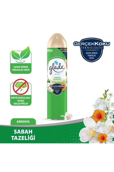 Glade Hava Tazeleyici Aerosol Oda Kokusu Sabah Tazeliği 300ml ürün görseli 1