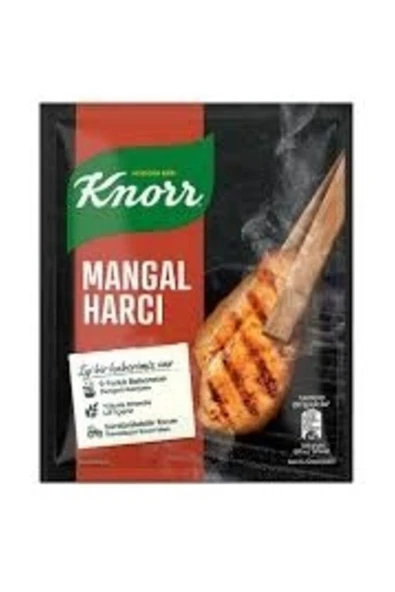 Knorr Mangal Harcı 40 gr - Resim 2