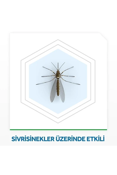 Raid Elektro Mat Sinek Kovucu Tablet 20'li | - Resim 4