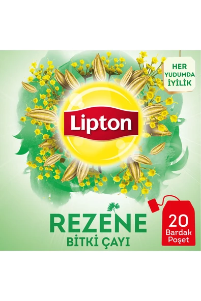 Lipton Rezene Çayı 20 Adet X 2 Gr 12 Li Set - Resim 2