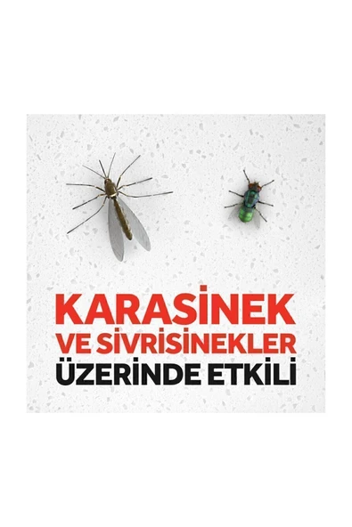 Raid Sinek Öldürücü Sprey 300 Ml - Resim 4