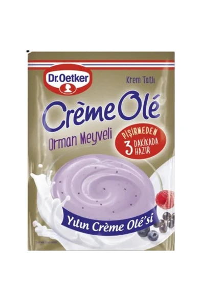 Dr. Oetker Creme Orman Meyveli 110 G ürün görseli 1
