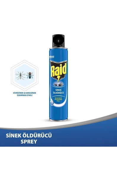 Raid Sinek Öldürücü Sprey 300 Ml ürün görseli 1