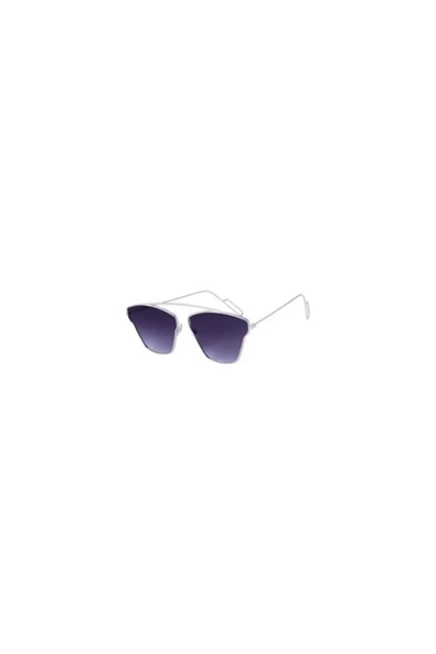 Vipfoni Unisex Metal Çerçeveli Güneş Gözlüğü Füme Gümüş ürün görseli 1