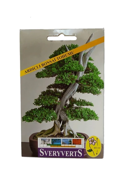 Vipfoni Ardıçlı Bonsai Çiçeği Tohumu ürün görseli 1